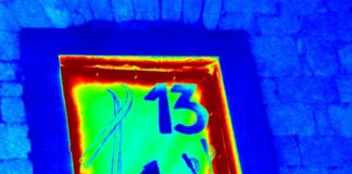 Mainz&-Adventskalender Türchen 13: Pro Glühwein 1 Quadratmeter Regenwald retten