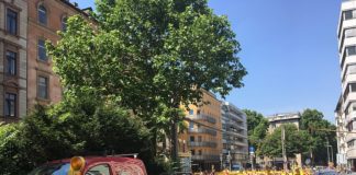 Diesel: Land will Mainz bei Vermeidung von Fahrverboten helfen – Umweltbundesamt: Diesel-Nachrüstung hilft nicht