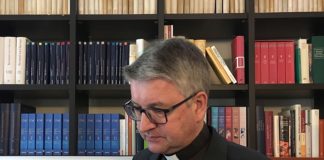 „Wir brauchen die Expertise von außen“ – Mainzer Bischof Kohlgraf etabliert Beratergruppe zur Aufarbeitung sexuellen Missbrauchs – Rütteln am Zölibat