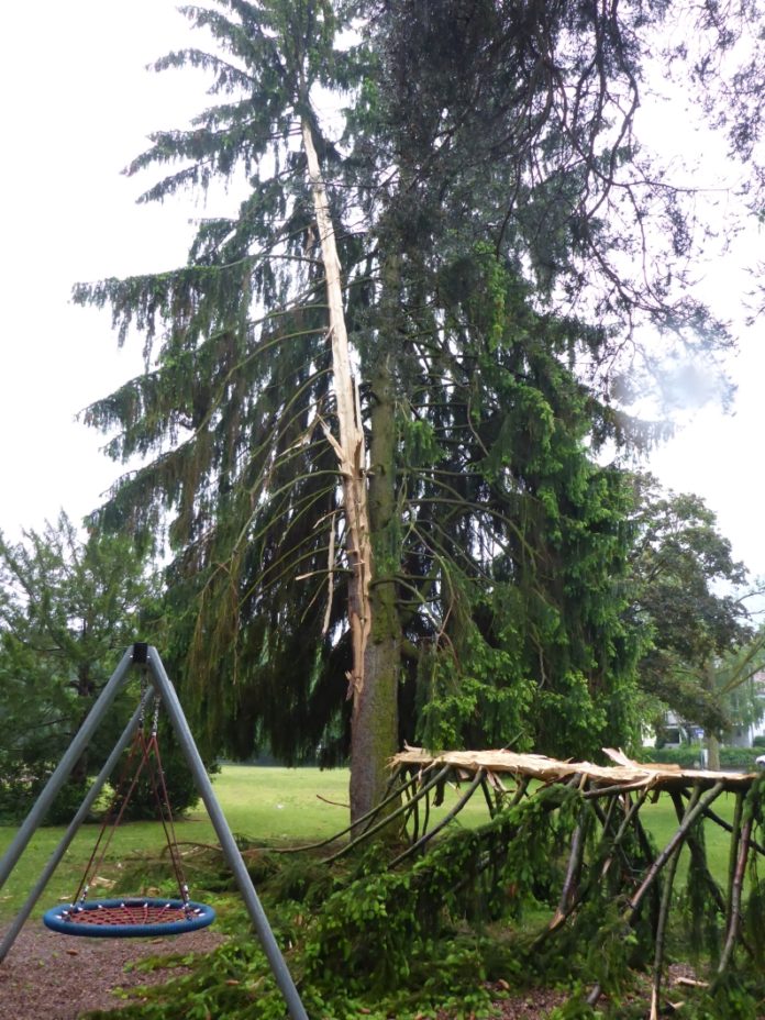 Update: Unwetter in Wiesbaden, Blitzeinschlag in Fichte, Rauchmelder spielten verrückt