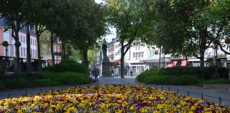 Blumen aus städtischen Beeten mitnehmen