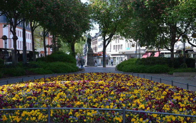 Blumenbeete auf dem Schillerplatz mit Schillerdenkmal