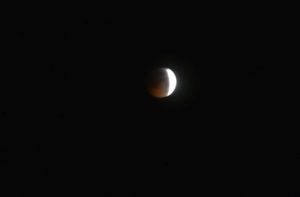"Blutmond" über Mainz bei einer totalen Mondfinsternis im Januar 2019. - Foto: gik