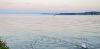 Badeseen in Rheinland-Pfalz: Alles bestens! – Vorsicht beim Schwimmen im Rhein