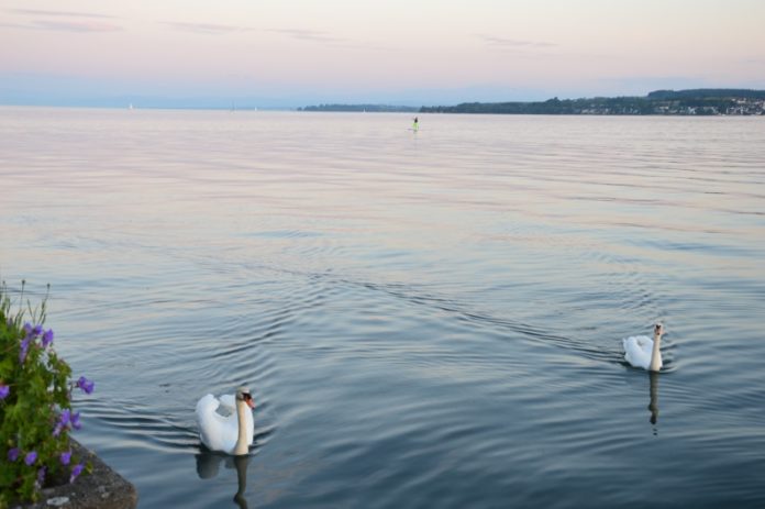 Badeseen in Rheinland-Pfalz: Alles bestens! – Vorsicht beim Schwimmen im Rhein