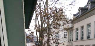 UPDATE — CO2-Austritt in der Walpodenstraße – Schillerplatz mit Läden und Weihnachtsmarkt gesperrt