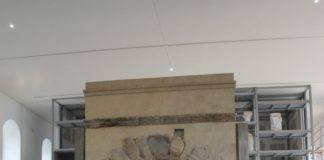 Petition für Erhalt der Mainzer Steinhalle gestartet – Empörungssturm gegen Zweckentfremdung als „Demokratie-Labor“