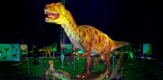 Die Dinos kommen – Große Dinosaurier-Ausstellung ab 13. April 2017 mit Infos aus der Wissenschaft