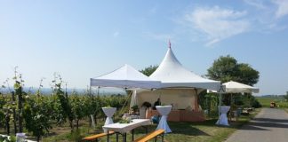 Ebersheimer Weinwanderung an Pfingsten: 13 Winzer, tolle Weine, Ausblick bis Frankfurt genießen