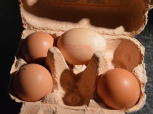 Der Code auf dem Ei verrät genau seine Herkunft und Produktionsweise. - Foto: gik