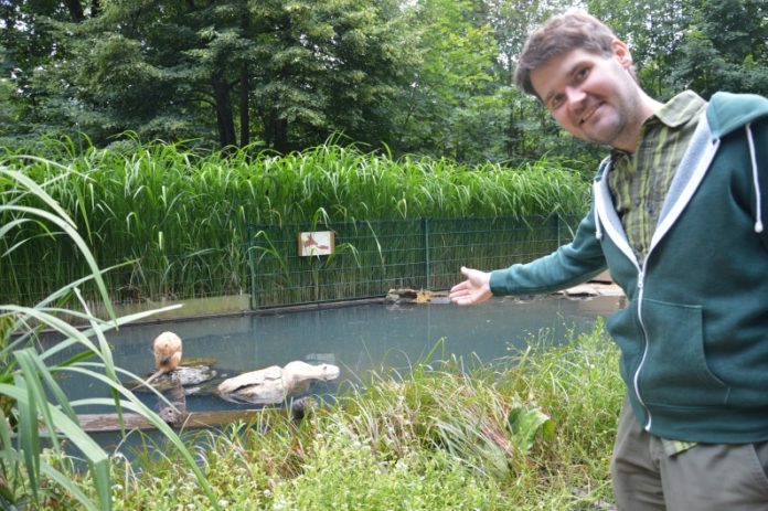 Besuch bei Bisamratte, Bär und Uhu – Fasanerie in Wiesbaden bietet viel Naturpädagogik