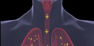 „Ultrafeinstaub-Hotspots“: Grüne fordern Messungen und Maßnahmen gegen Ultrafeinstaub an Flughäfen – BI informiert am 8.11.18
