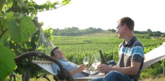 Rheinhessen vorn: Weingut Manz Winzer des Jahres 2015 – Braunewell Jungwinzer des Jahres 2015