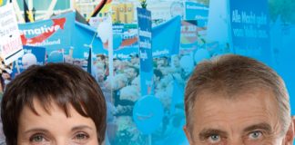 AfD-Großdemo am Samstag in Mainz – Sechs Gegendemos „AfD-Hetze stoppen“