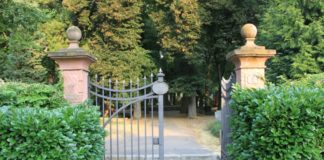 Tag des Friedhofs am 1. November: Persönlichkeiten auf dem Mainzer Hauptfriedhof erleben – App „Wo sie ruhen“