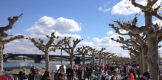 Krempelmarkt am Rheinufer in Mainz startet am 7. Mai – Termine erst einmal nur bis Ende Juli 2022 – Neues Buchungssystem