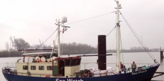 Mainzer Arzt Trabert hilft bei Flüchtlingsrettung der Sea Watch im Mittelmeer