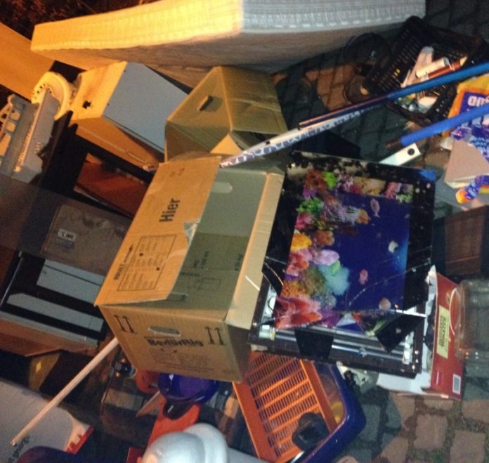 Recyclinghöfe: Mainzer müssen Herkunft ihres Abfalls jetzt mit Formular nachweisen – Staus und Wartezeiten als Folge Sperrmüll in der Mainzer Neustadt am Gartenfeldplatz - Foto: gik