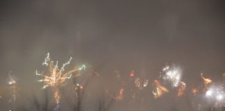Stadt Mainz lehnt Verbot von privatem Silvesterfeuerwerk ab – Petition mit 2.670 Unterschriften fordert Verbot