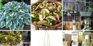 „Gartenträume“ das erste Mal in Mainz – Messe vom 17.-19. März 2017 in der Halle 45