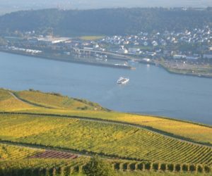 Die Fähre zwischen Bingen und Rüdesheim, hier soll nun der Standort für eine neue Rheinbrücke untersucht werden. - Foto: gik