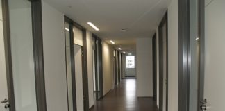 Bäume im Garten, Elektroautos, sichere Fenster – 46. Rheinland-Pfalz-Ausstellung startet Fastnacht auf dem Mainzer Markt vor dem Dom, Blick von oben auf den Domplatz, Blick auf den Rosenmontagszug, mit Fahnenschwenkern