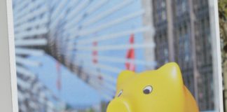 „Kein Feierabend-Dezernat in Mainz“ – Freie Wähler starten Petition gegen ehrenamtliches Wirtschaftsdezernat in Mainz