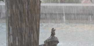 Kehraus in Mainz: Fastnachter laden zur Fastnachtsbeerdigung mit Prozession ab Schillerplatz und Heringsessen