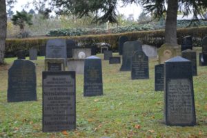 Gräber auf dem Mainzer Haupfriedhof. - Foto: gik