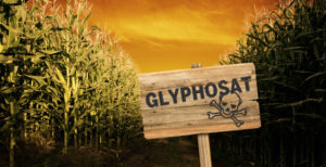 Foto zur Aktion "Stopp Glyphosat" des BUND. - Foto: gik