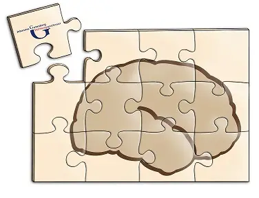 Hirn als Puzzle - Grafik Uni Mainz