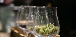 Urformel des Bierbrauertums: Das deutsche Reinheitsgebot wurde vor mehr als 500 Jahren erfunden