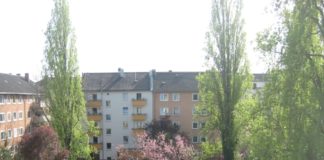 Pappeln brennen in der Neustadt – Hauptbahnhof kurz gesperrt Blick in einen Hinterhof in der Mainzer Neustadt - Foto: gik