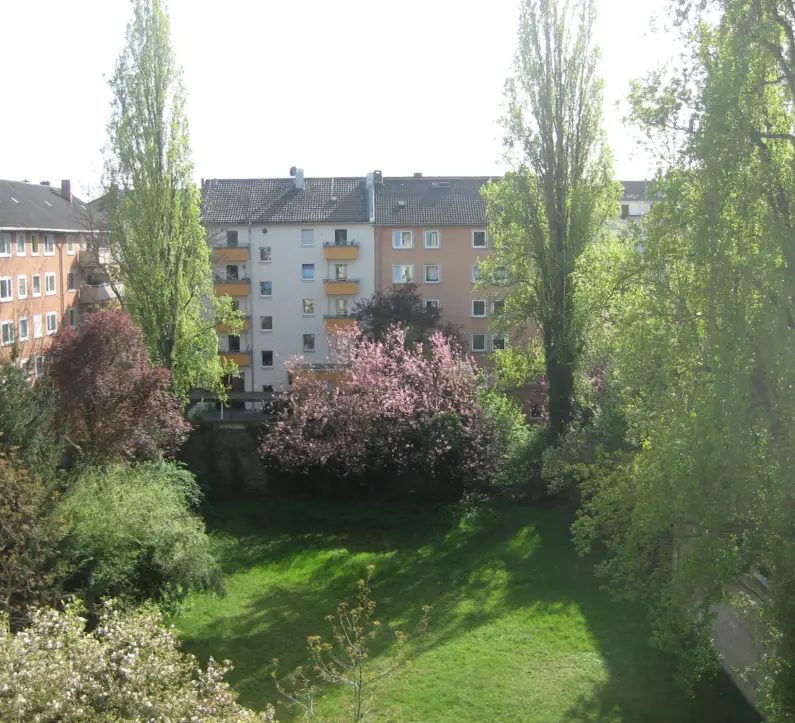 Blick in einen Hinterhof in der Mainzer Neustadt - Foto: gik
