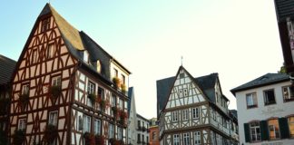 Neue Grundsteuerbescheide in Mainz: Kosten explodieren – FDP: „Belastungskoalition“ macht Wohnen teurer, Versprechen gebrochen