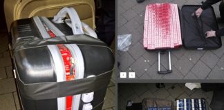 Zigaretten in 14 Koffern am Mainzer Hauptbahnhof vermutlich Schmuggelware aus Angola