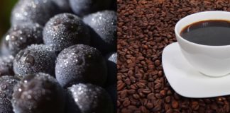 „Sauvignon Arabica“: Neue Traubensorte mit Koffein gezüchtet – Am 1. April bekannt gegeben