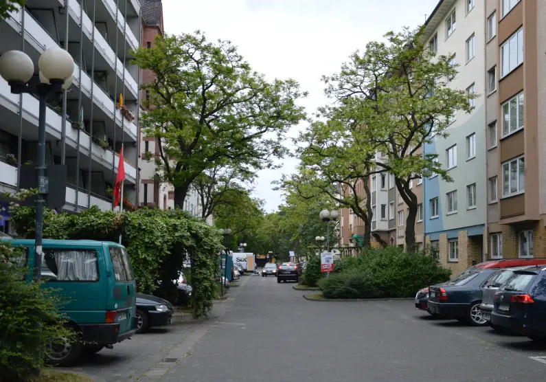 Leibnizstraße Mainz Neustadt mit Bäumen