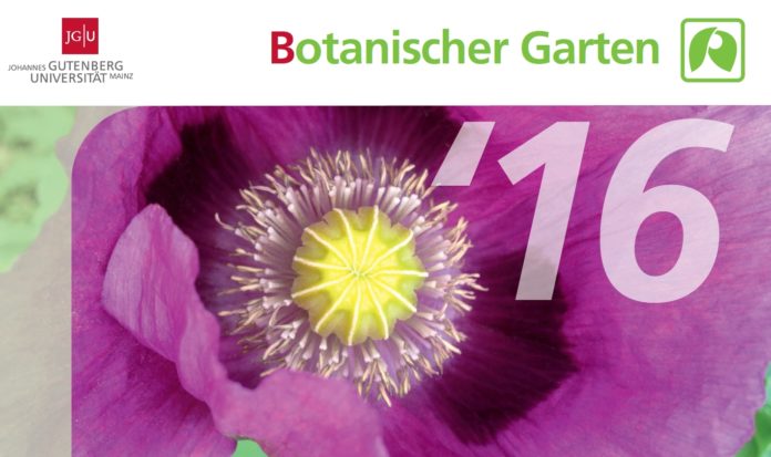 12. Juni Sommerfest im Botanischen Garten: Gartenrallye, Arzneipflanzen und Vocal Jazz