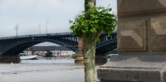 CineLady am 27. Juli mit „Maggies Plan“ und dem Hängematten-Weltrekord von La Siesta