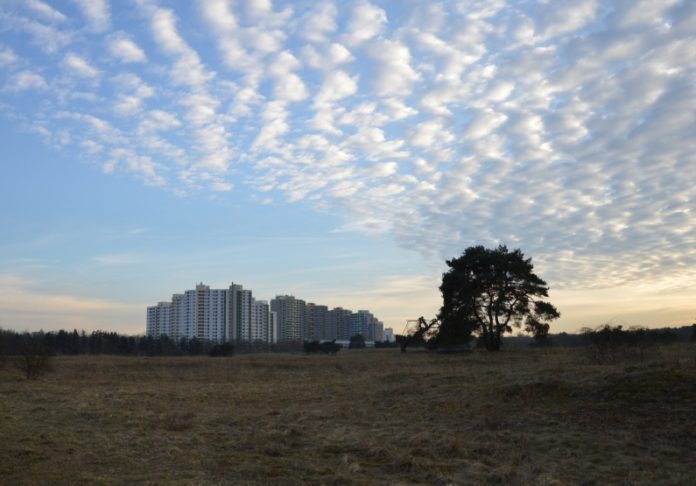 „Wir waren nie die Verhinderer“ – Bündnis Mainzer Sand will Natur bewahren und Verkehr fließen lassen