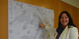 Plötzlich Dezernentin: Was Manuela Matz als Mainzer Wirtschaftsdezernentin vorhat – Gewerbegebiete, Gesundheitswirtschaft, GWC