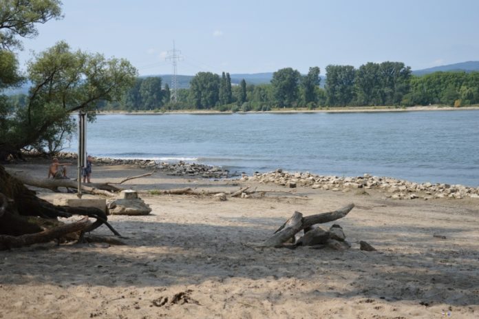 Mombacher Rheinstrand: Überrannt und zugemüllt – Schilder sollen helfen