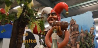 Rosenmontagszug: Noch keine Entscheidung über Zug im Sommer – Rheinhessen-Jubiläum könnte Zeitpunkt sein