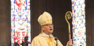 Missbrauchsstudie: 53 Kleriker und 169 Opfer im Bistum Mainz – Kohlgraf bittet um Vergebung und lädt zum Gottesdienst