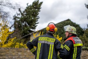 2019 riss Orkan Niklas auch in Mainz mehrere Bäume um. - Foto: Feuerwehr Mainz