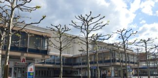 Zukunft der Ludwigsstraße in Mainz – Bürgerinitiative lädt zur Infoveranstaltung am Dienstag – Stadtspitze berichtet