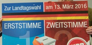 AfD in Wiesbaden weniger stark – NPD ruft zur Wahl für AfD in Rheinland-Pfalz auf