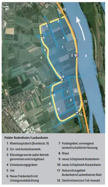 polder-hochwasser-bodenheim-laubenheim-grafik-sgd-sued