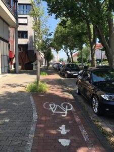 Zu eng, zugewuchert, zugeparkt - die Mainzer Radwege schneiden seit Jahren extrem schlecht ab. - Foto: gik